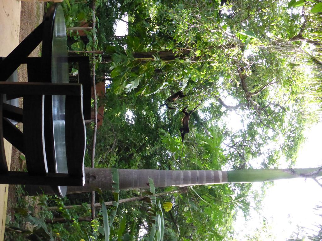 Mundo Milo Eco Lodge Paraíso Eksteriør bilde