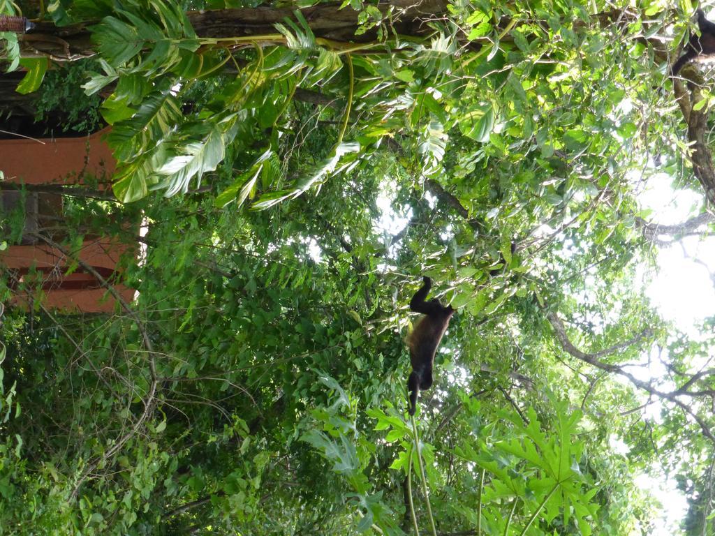 Mundo Milo Eco Lodge Paraíso Eksteriør bilde