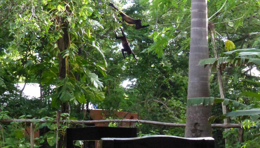 Mundo Milo Eco Lodge Paraíso Eksteriør bilde